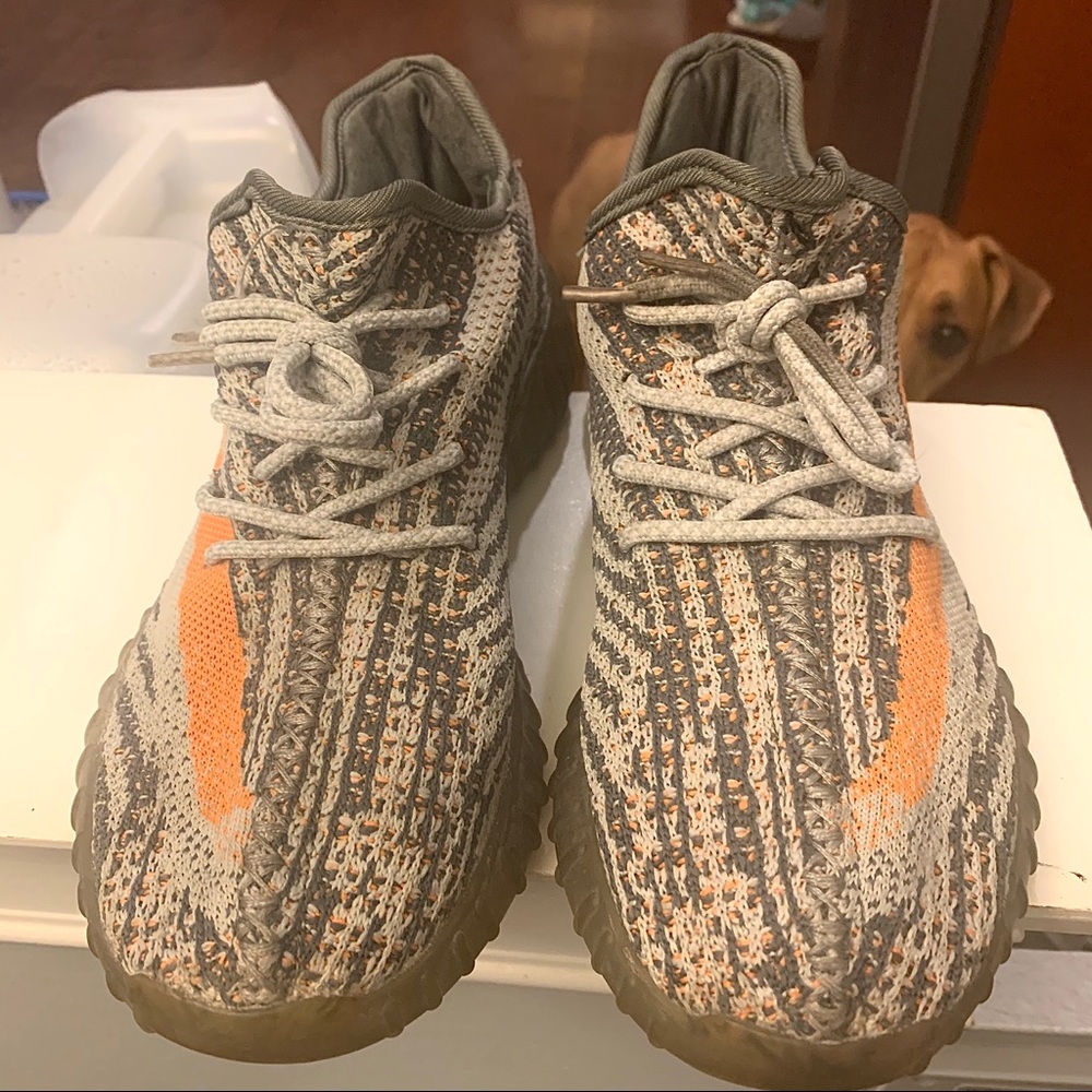 Sneaker Shoes